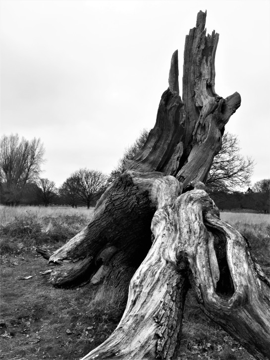 tree sculpture 1